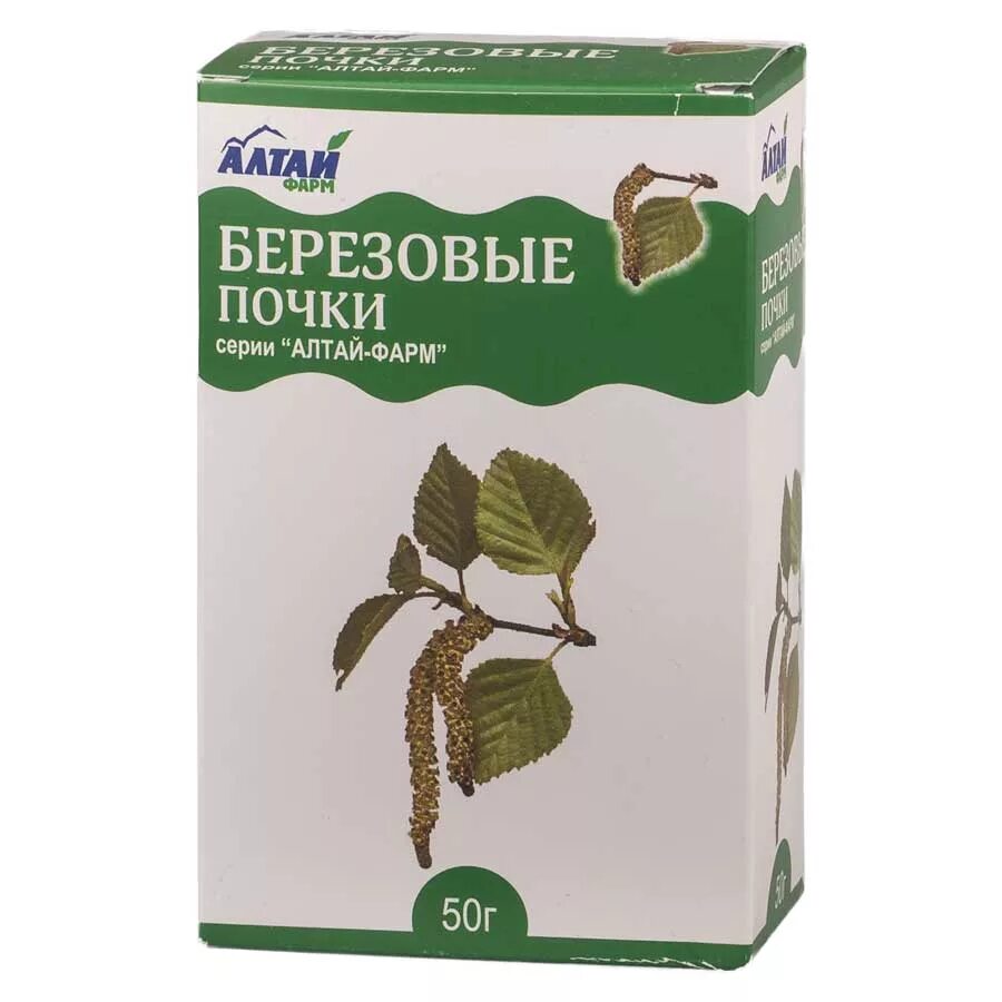 Почки лрс. Береза повислая почки сырье. березовые почки 50г фитофарм. березовые листья в аптеке. березовые почки в аптеке.