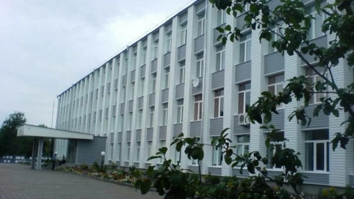 Репьевская школа воронежской