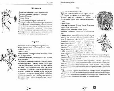Значения трав и цветов