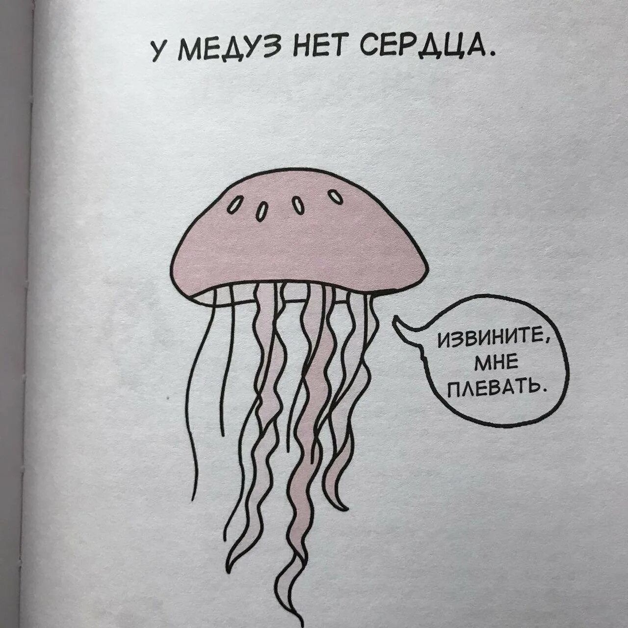 У медузы есть мозг. Мозг медузы. Смешная медуза. У медузы есть мозги