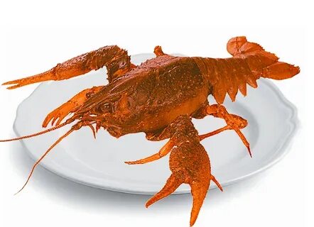 Раки сочи