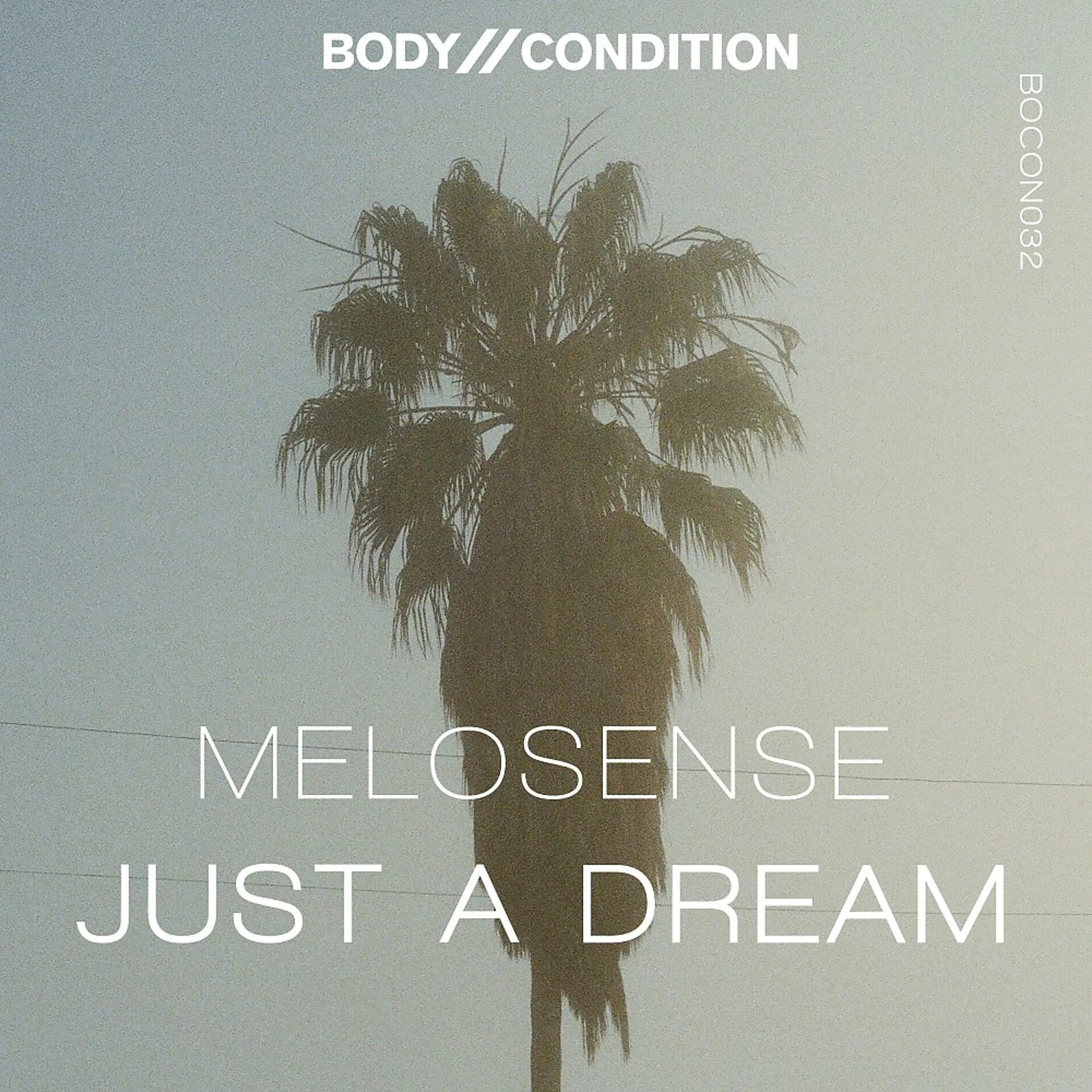Песня just a dream. Just a dream. melosense. just a dream 2002. nelly just a dream.