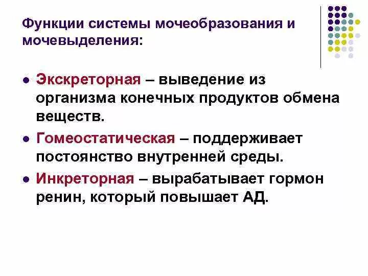 Функции мочевыделения системы. Функция системы мочеобразования. регуляция процесса мочеобразования. физиология мочеобразования и мочевыделения.