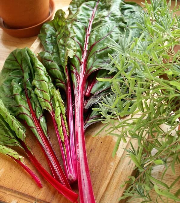 Свекольная ботва мангольд. Листья ботвы свеклы. Ботвинья из мангольда. Съедобная ботва. Как называется ботва.