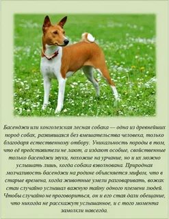 Интересное обо всем