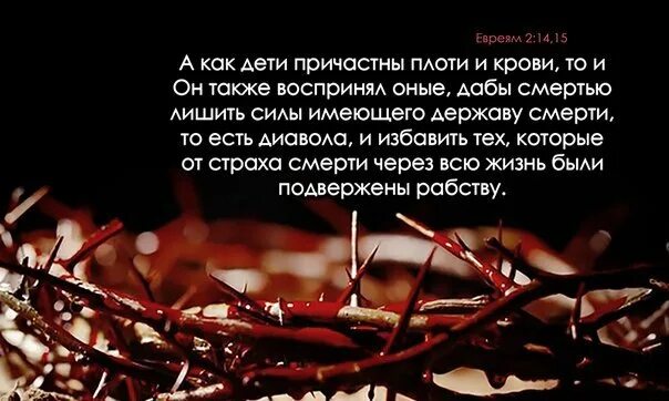 Плоть и суть. А как дети причастны плоти и крови. моя брань не против крови и плоти. плоть от плоти кровь от крови.