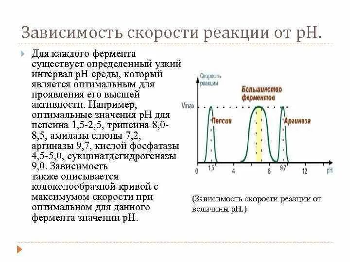 Зависимость скорости ферментативной реакции от РН среды. Зависимость активности ферментов от температуры и РН среды. График зависимости активности ферментов от PH. Зависимость ферментативной реакции от PH.