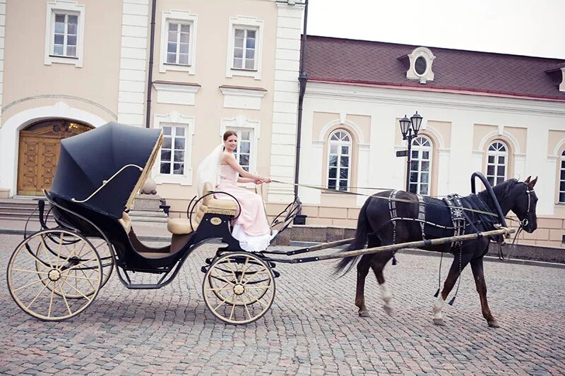 карета с откидным. карета с откидной крышей. фаэтон карета 19 век. фаэтон карета. фаэтон карета.