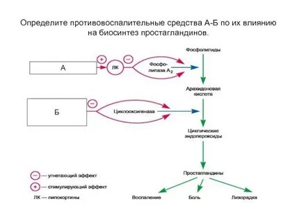 Противовоспалительные простагландины