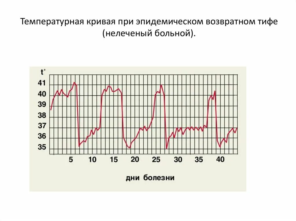 Построение температурной кривой алгоритм