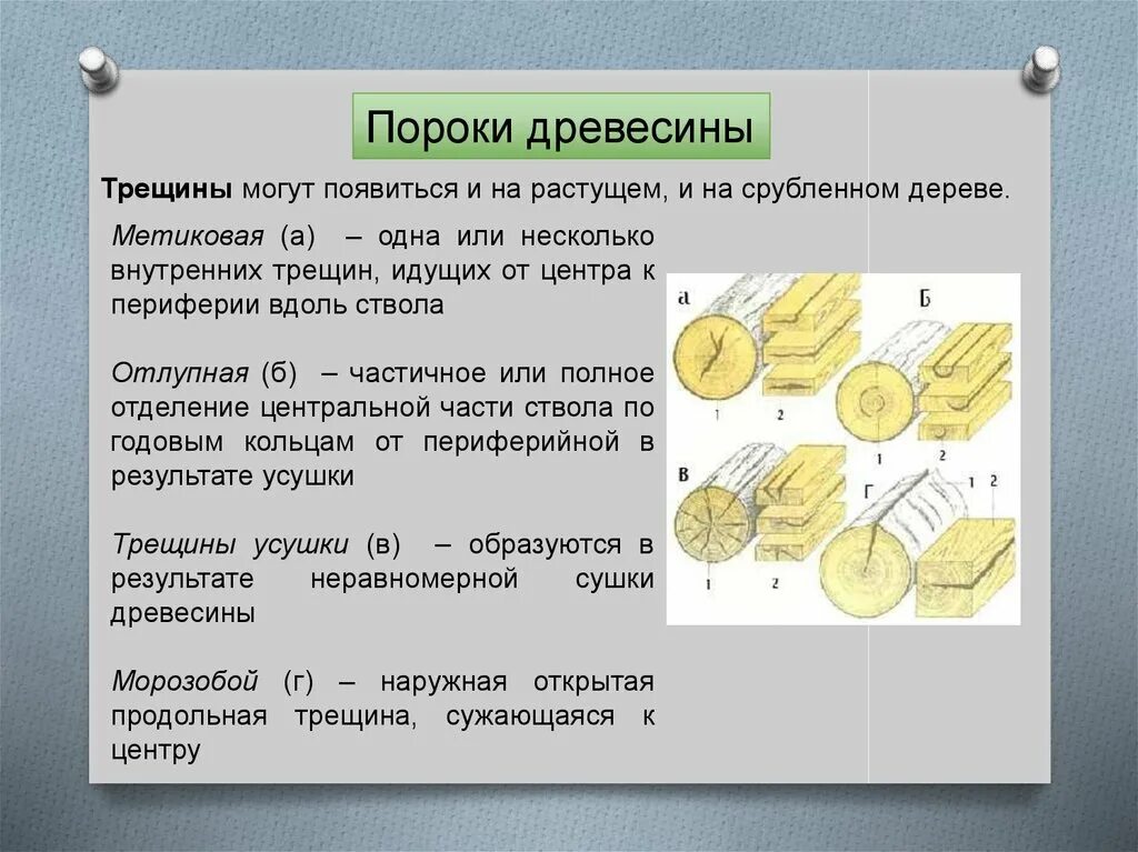 Свойство трещин. Метиковая трещина древесины. Пороки дерева и древесины. Пороки древесины трещины. Сквозная трещина в древесине.