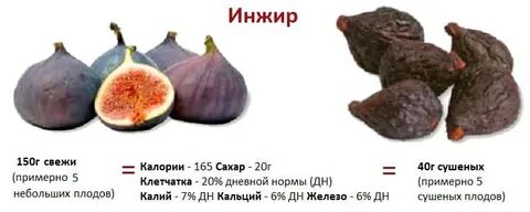 Характеристика инжира
