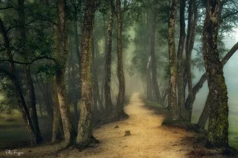 Composed path