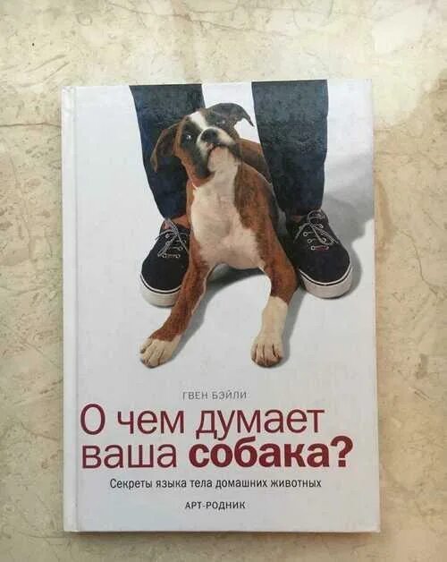 Ваша собака книга. Книга по воспитанию собак. О чем думает ваша собака джон фишер. О чем думает собака книга. Джон фишер думать как собака.
