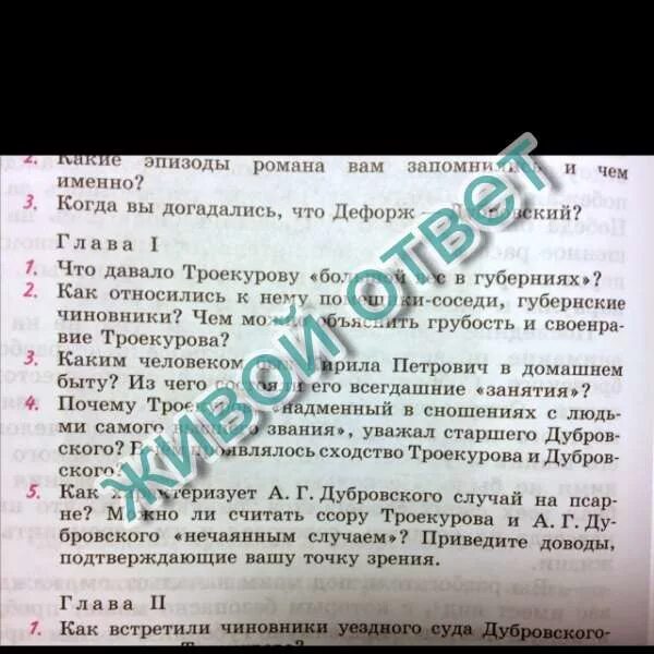 Можно ли считать ссору троекурова и. Как встретили чиновники уездного суда дубровского и троекурова. из чего состояли его всегдашние занятия троекурова. какие эпизоды романа вам запомнились и чем именно дубровский. как встретили чиновники уездного суда дубровского.