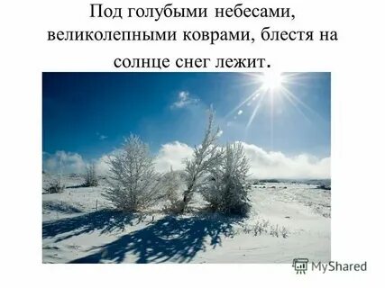 Великолепными коврами блестят