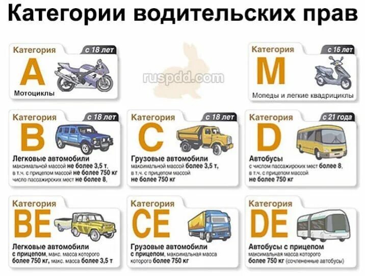 C d с какого года