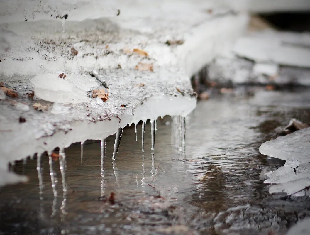 Снег тает не всегда. Приметы про первый снег. Тает снег бегут ручьи. Снег тает не всегда. Снег тает не всегда.