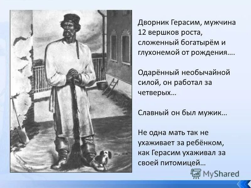 Муму герасим дворник. Герасим двенадцати вершков роста. Какого роста был герасим из муму в сантиметрах. Двенадцать вершков роста это сколько. Рост герасима в муму.