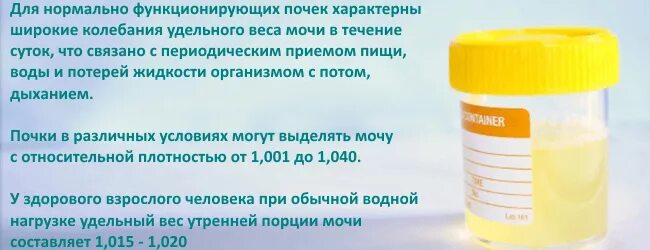 Сколько мочи у взрослого человека в сутки. Нормальный вид мочи. Удельный вес плотность мочи. Нормальный цвет утренней мочи. Удельный вес мочи норма.