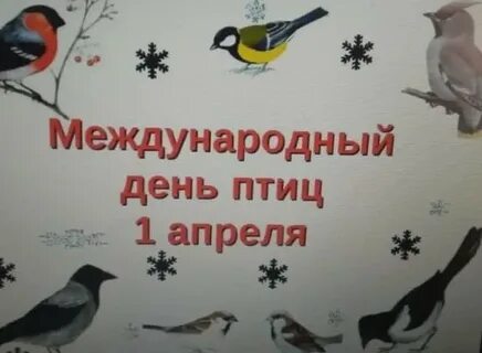 День птиц названия мероприятия