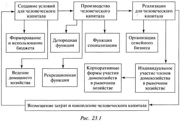 Функции выполняемые домашними хозяйствами. Функции семьи формирование человеческого капитала. типы домохозяйств. экономические функции домохозяйства. функции бюджета домашнего хозяйства.