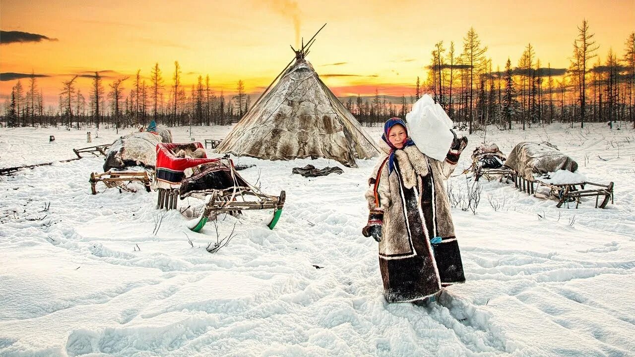 Ненцы коряки. На севере жить. Охота якутов якутов. Якутия жизнь в суровых условиях. Чукчи ненцы.