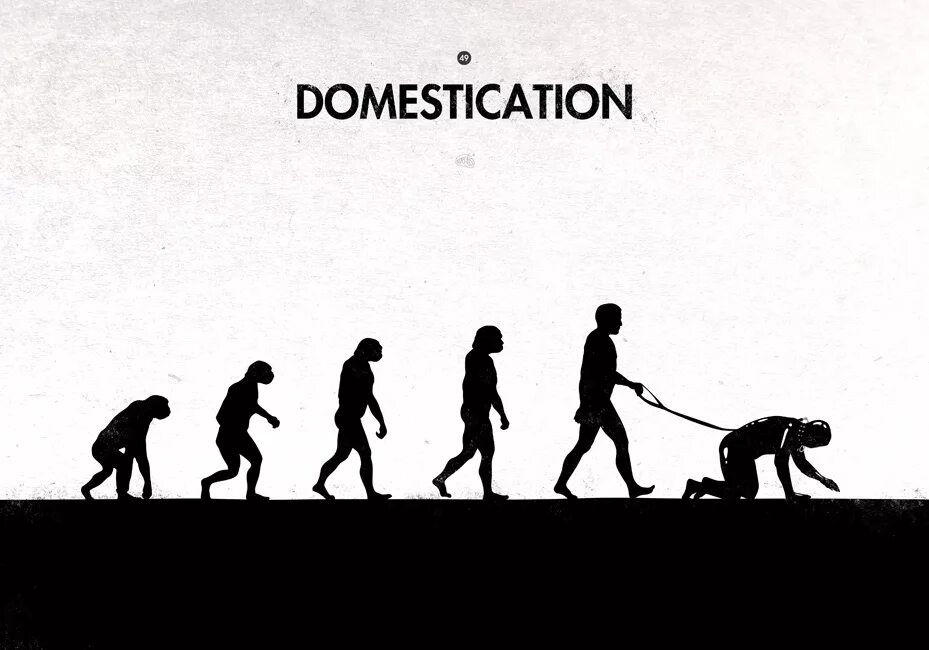 Эволюция в обратную сторону. Эволюция в обратную сторону. Превратиться в обезьяну. Эволюция и деградация. Превращение из обезьяны в человека.