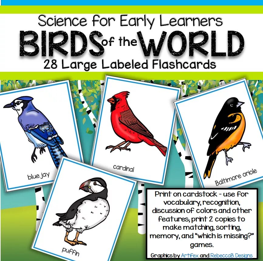 Birds theme. Birds Flashcards. Birds for Kindergarten Vocabulary. Bird Flashcards for Kids. Bird Flashcard.