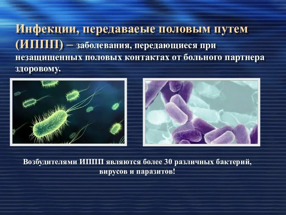 Возбудители заболевания передающихся половым путём. Инфекция передаваемая половым путём. Популярные половые инфекции. Возбудитель инфекционных заболеваний бактерии