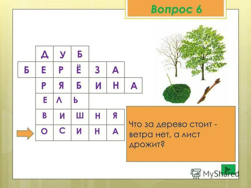 Угадай ответ дерево. Что за дерево стоит ветра нет. Кроссворд на интерактивной доске. Что за дерево стоит ветра нет а лист дрожит.