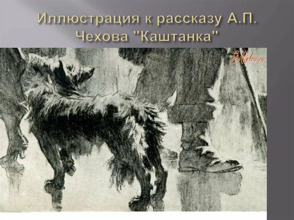 Иллюстрации а п чехова. Каштанка Чехов Кардовский. Иллюстрации Кардовского к каштанке. Кардовский каштанка иллюстрации. Собака каштанка Чехов а,п\.