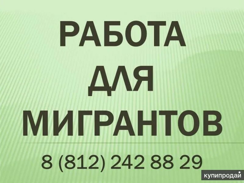 В москва вакансия снг. Работа гражданам СНГ. Работа для СНГ. Мигрант ищет работу. Работу для жителей СНГ.