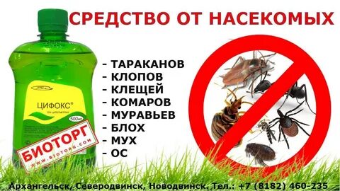 Народные средства от клещей для людей