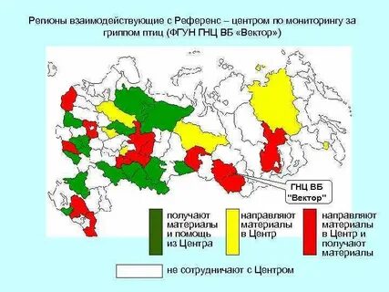 Птичий грипп распространение