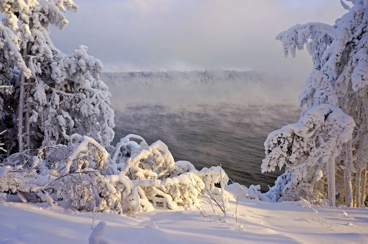 Где в тайге самые низкие температуры зимой. Сибирь зимой. Зима в Сибири. Природа Сибири зимой. Красота Сибири зимой.