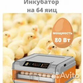 Настройка инкубатора умница