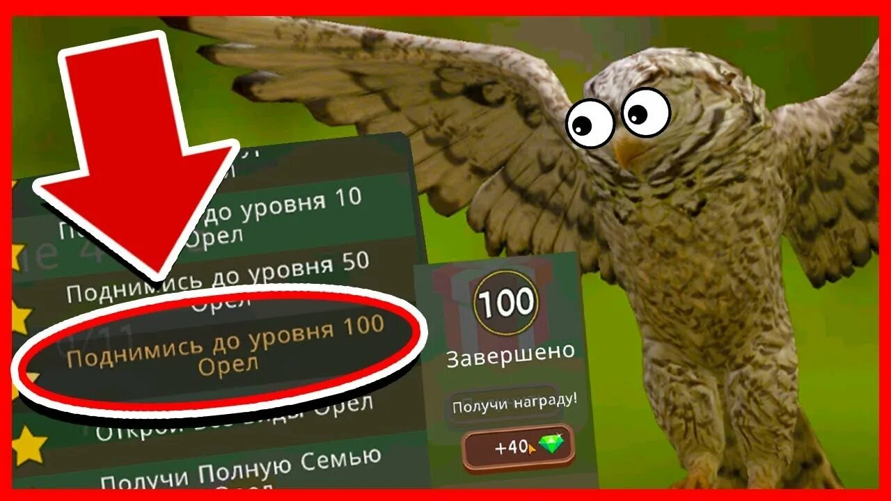 Вилд крафт много кристаллов. Как получить Кристаллы в вилд крафт. Как получить много кристаллов. Как зарабатывать Кристаллы в игре WILDCRAFT. Коды на много кристаллов в вайлд крафт.