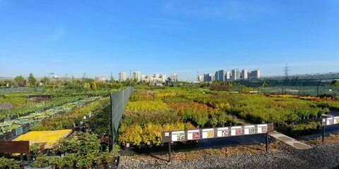 Садовый центр санкт петербург