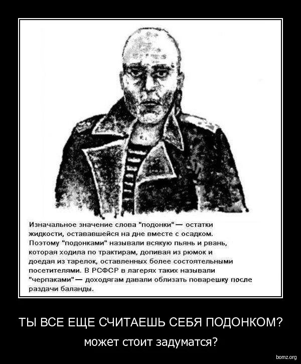 Подонок происхождение слова. Подонок. Подонок значение. Подонок. Стихи про самовлюбленных мужчин.