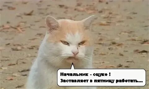 Не раньше чем через час