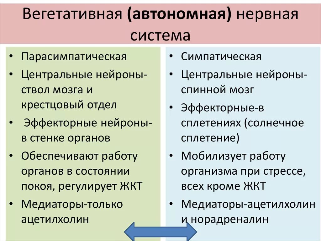 Автономная н с