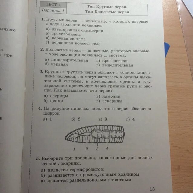 Тесты по червям 7. Тесты по биологии 7 класс Тип круглые и кольчатые черви. Тест по червям. Тест по биологии 7 класс кольчатые черви. Тесты по биологии 7 класс.