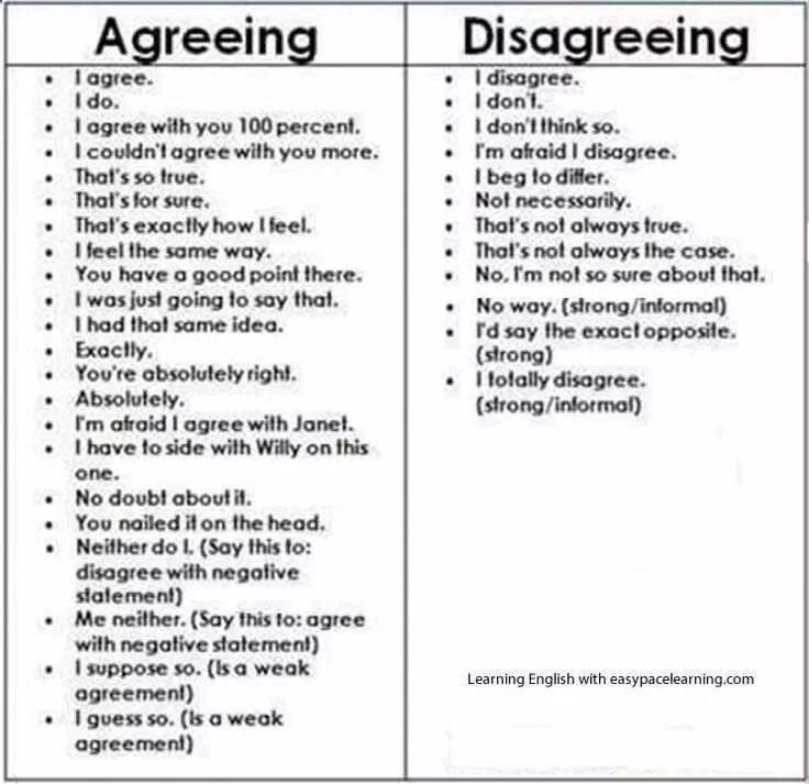 Is understanding to agree. Agreeing and disagreeing. agree disagree phrases. phrases for agreeing and disagreeing. agreement and disagreement phrases.