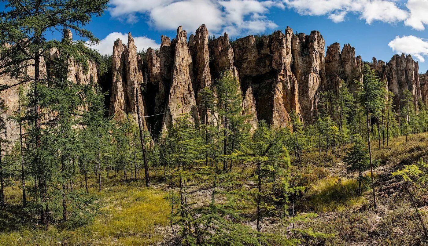 Национальный парк “Ленские столбы”, Якутия. Река Лена Ленские столбы. Каменный лес в Якутии. Природные памятники России Ленские столбы. Природные заказники и памятники природы