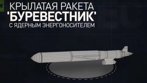Ядерная ракета буревестник