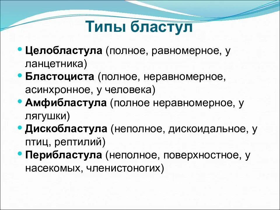 Тип бластулы у лягушки. Строение бластулы животных. Виды бластул. Типы бластул амфибластула. Строение бластулы.