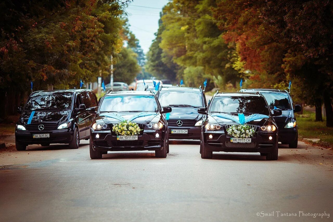 Кортеж в строку. Mercedes vito кортеж. свадебный кортеж кавказ. кавказская свадьба кортеж. кавказская свадьба на машинах.