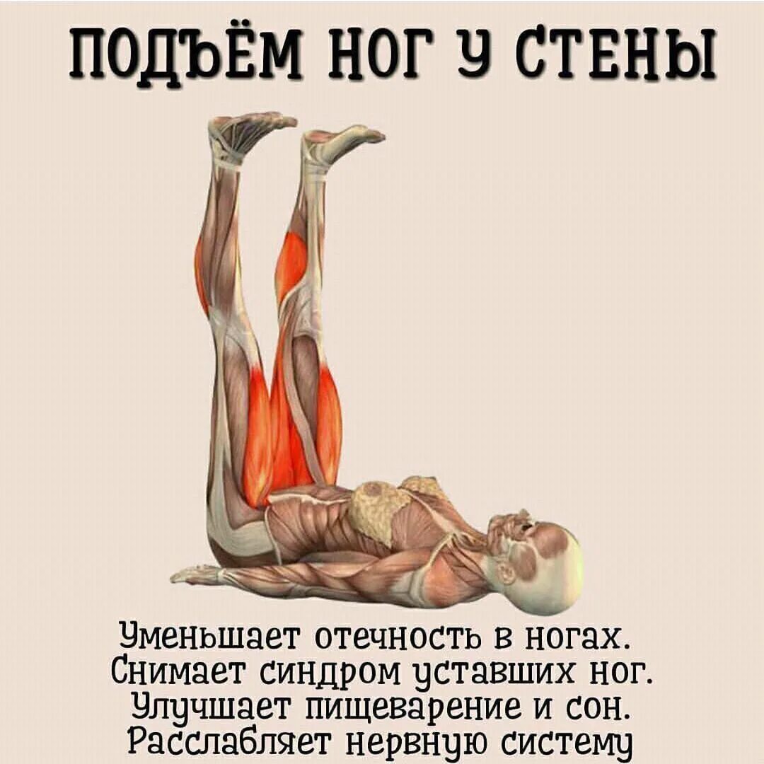 Нужен подъем. Поднять ноги на стену. Подъем ног у стены. Полезно если поднять ноги вверх. Упражнение ноги на стену.