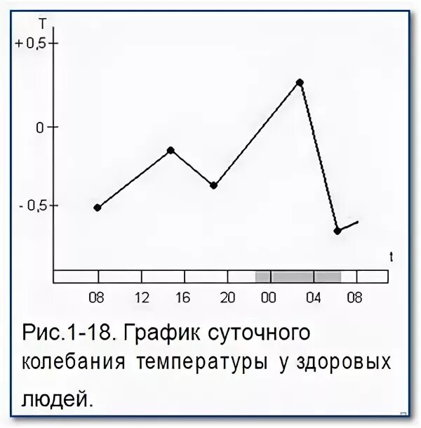 В воскресенье утром температура воздуха. Температура тела в Разное время суток. Как меняется температура тела в течение дня. Колебания температуры тела в течение дня.